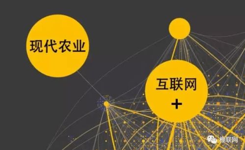 農產品網絡銷售遇到的問題