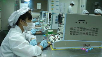 政經微作丨助力企業破繭成蝶,揚州有何 金剛鉆