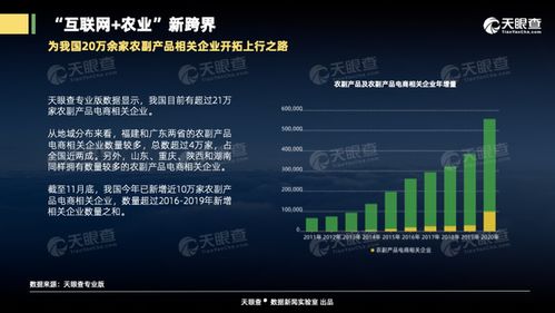 大數據在說話 看看新農村背后的數字 有你們村嗎