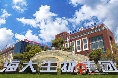 青島市城陽區:為“金花”成長打造一片“熱帶雨林”,培植一方“陽光沃土”