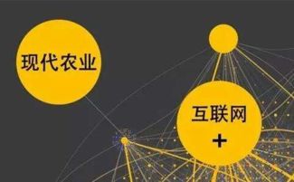 黑龍江省 互聯網 農業 高標準示范基地達1458個